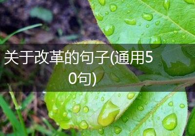 关于改革的句子(通用50句)