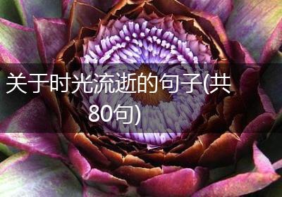 关于时光流逝的句子(共80句)