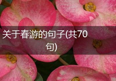 关于春游的句子(共70句)