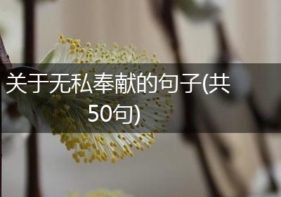 关于无私奉献的句子(共50句)