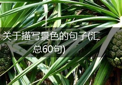 关于描写景色的句子(汇总60句)
