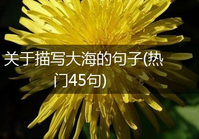 关于描写大海的句子(热门45句)