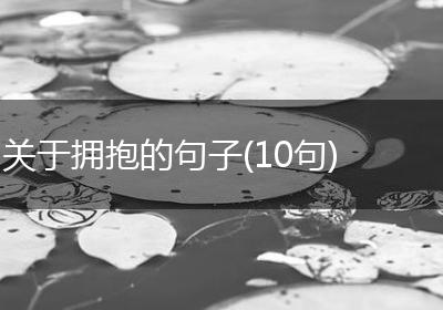 关于拥抱的句子(10句)