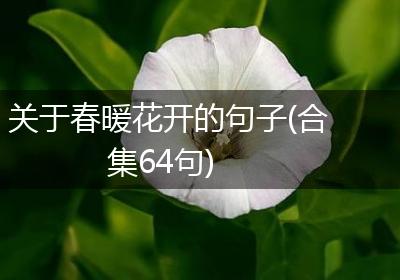 关于春暖花开的句子(合集64句)