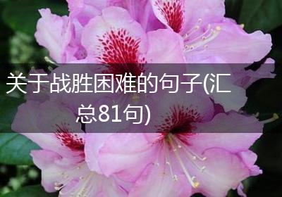 关于战胜困难的句子(汇总81句)