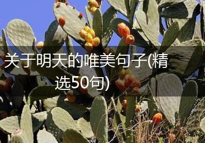 关于明天的唯美句子(精选50句)