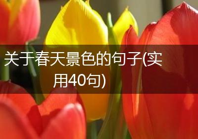 关于春天景色的句子(实用40句)
