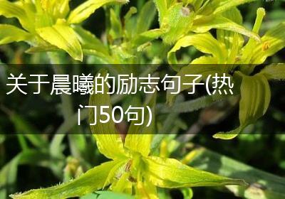 关于晨曦的励志句子(热门50句)