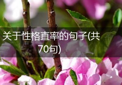 关于性格直率的句子(共70句)