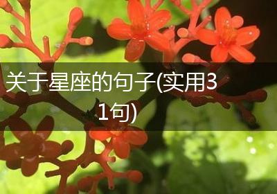 关于星座的句子(实用31句)