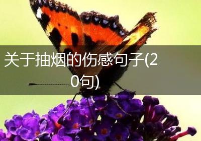 关于抽烟的伤感句子(20句)