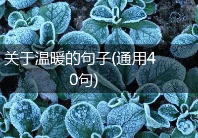 关于温暖的句子(通用40句)