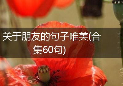 关于朋友的句子唯美(合集60句)