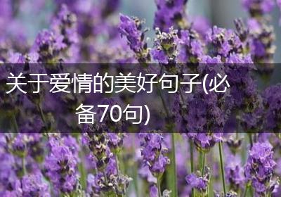 关于爱情的美好句子(必备70句)