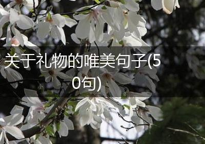 关于礼物的唯美句子(50句)