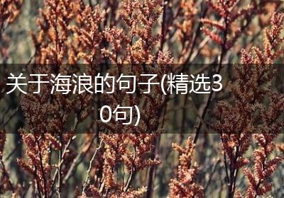 关于海浪的句子(精选30句)