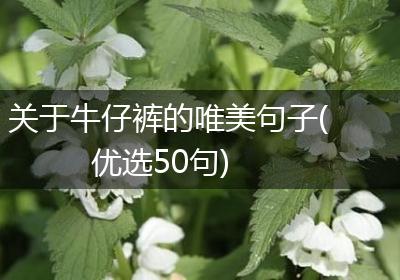 关于牛仔裤的唯美句子(优选50句)