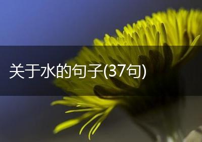关于水的句子(37句)
