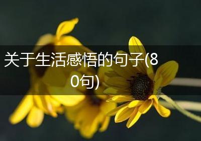 关于生活感悟的句子(80句)