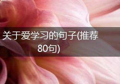 关于爱学习的句子(推荐80句)