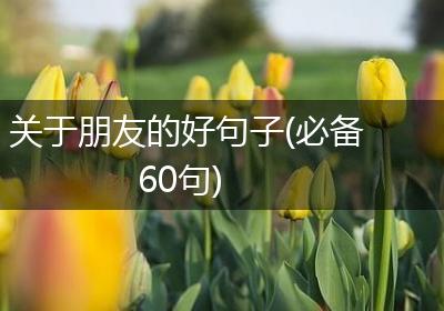 关于朋友的好句子(必备60句)