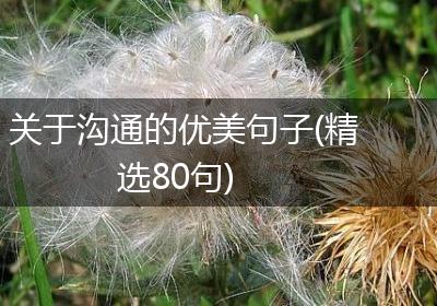 关于沟通的优美句子(精选80句)