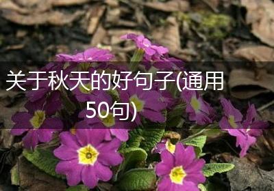 关于秋天的好句子(通用50句)