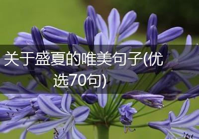 关于盛夏的唯美句子(优选70句)
