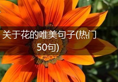 关于花的唯美句子(热门50句)