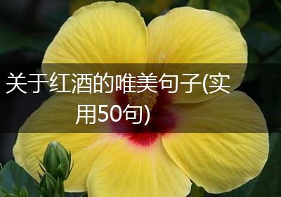 关于红酒的唯美句子(实用50句)