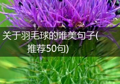 关于羽毛球的唯美句子(推荐50句)