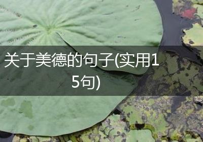 关于美德的句子(实用15句)