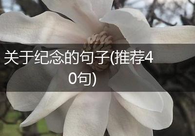 关于纪念的句子(推荐40句)