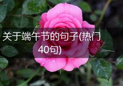 关于端午节的句子(热门40句)