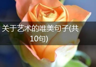 关于艺术的唯美句子(共10句)