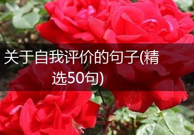 关于自我评价的句子(精选50句)