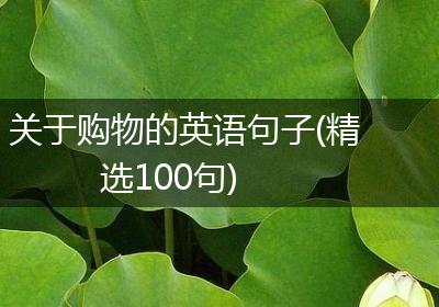 关于购物的英语句子(精选100句)