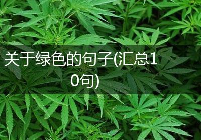 关于绿色的句子(汇总10句)