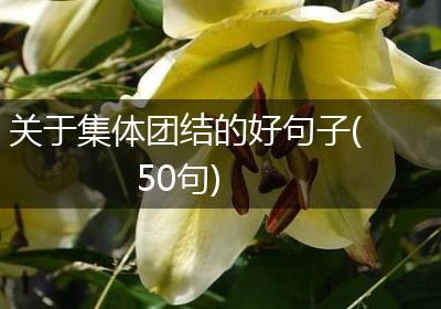 关于集体团结的好句子(50句)