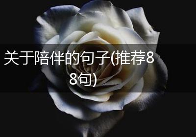 关于陪伴的句子(推荐88句)