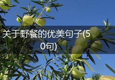 关于野餐的优美句子(50句)