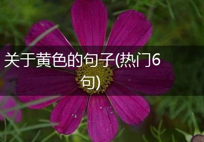关于黄色的句子(热门6句)