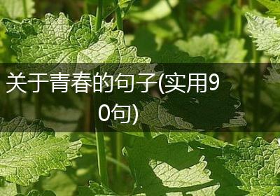 关于青春的句子(实用90句)