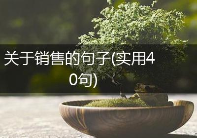 关于销售的句子(实用40句)