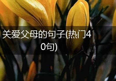关爱父母的句子(热门40句)