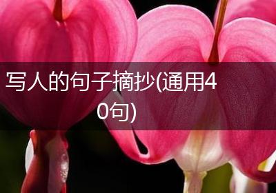 写人的句子摘抄(通用40句)