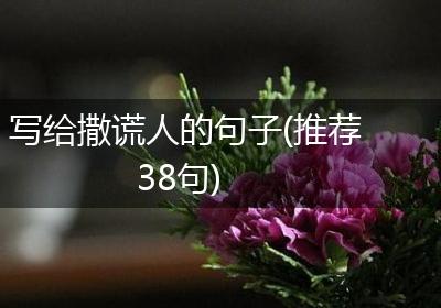 写给撒谎人的句子(推荐38句)
