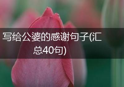 写给公婆的感谢句子(汇总40句)
