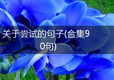 关于尝试的句子(合集90句)