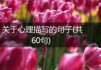 关于心理描写的句子(共60句)